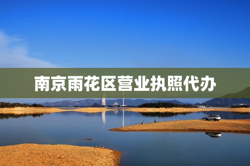 南京雨花区营业执照代办(雨花区办营业执照在哪里办)