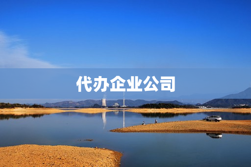 代办企业公司(代办公司业务)