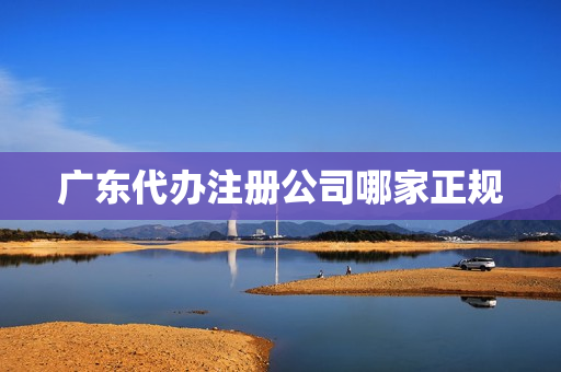 广东代办注册公司哪家正规(代办注册公司)