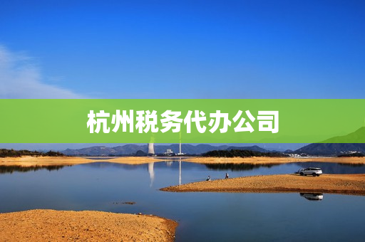杭州税务代办公司(杭州财税公司排名)
