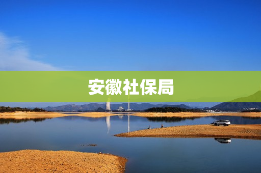 安徽社保局(安徽省社保局电话)