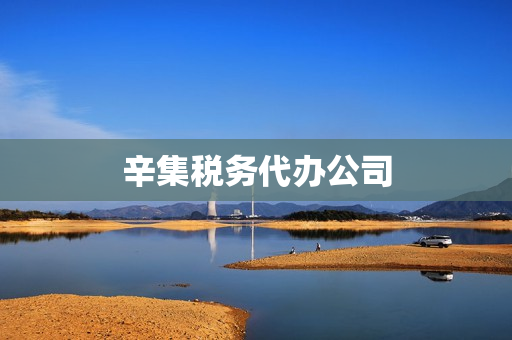 辛集税务代办公司(代办公司)