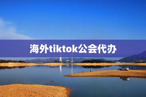 海外tiktok公会代办(tiktok直播公会申请)