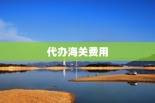 代办海关费用(海关费骗局)