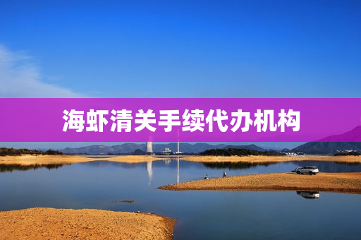海虾清关手续代办机构(办理清关手续要多久)