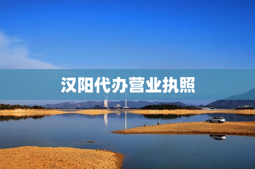 汉阳代办营业执照(汉阳区个体工商户营业执照)