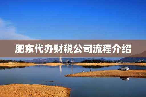 肥东代办财税公司流程介绍(财税公司是做什么的)