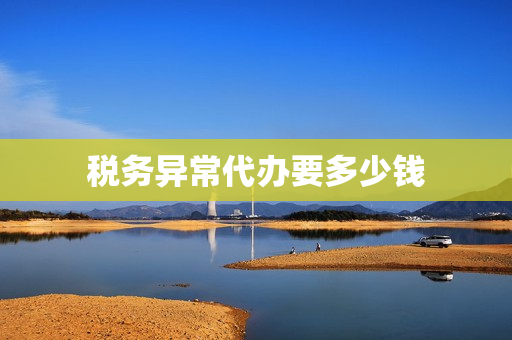 税务异常代办要多少钱(解除税务异常需要什么资料)