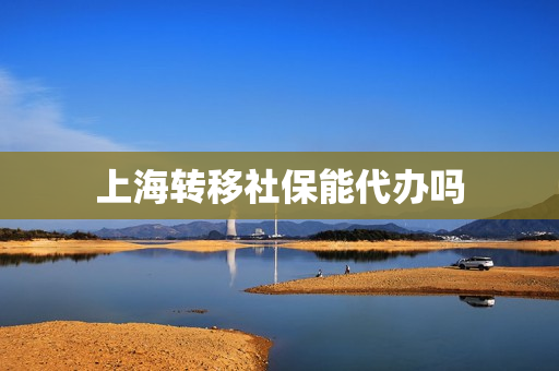 上海转移社保能代办吗(上海外地人自己交社保)