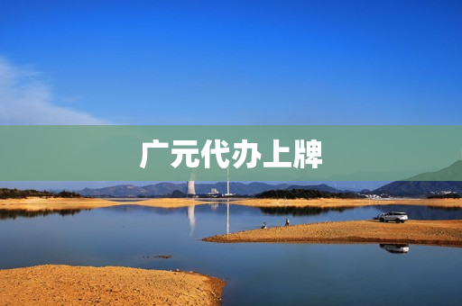 广元代办上牌(四川达州上牌代办)