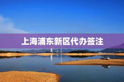 上海浦东新区代办签注(浦东新区出入境办理点)