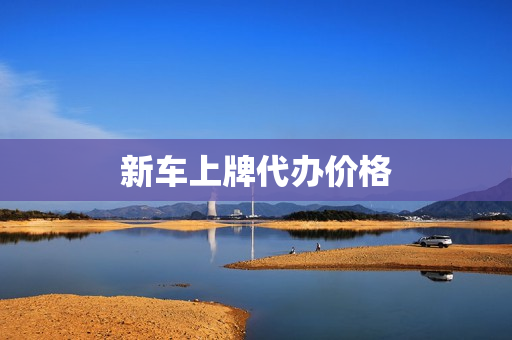 新车上牌代办价格(新车上牌一天能办完吗)