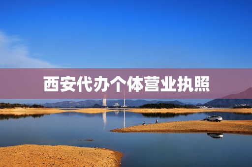 西安代办个体营业执照(办个体户营业执照多少钱)