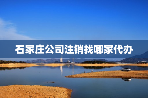 石家庄公司注销找哪家代办(公司注销代办)