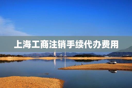 上海工商注销手续代办费用(在上海注销公司流程及费用)