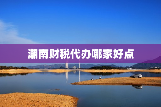 潮南财税代办哪家好点(海南财税公司)