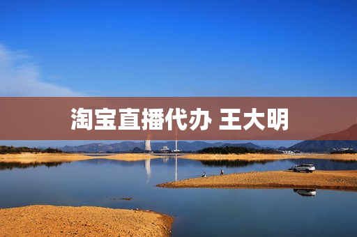 淘宝直播代办 王大明(淘宝营业执照代办真假)