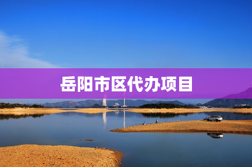 岳阳市区代办项目(岳阳营业执照代办)