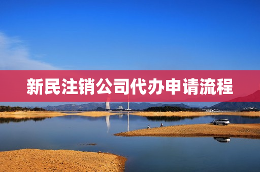 新民注销公司代办申请流程(公司注销代办)