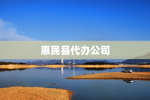 惠民县代办公司(惠民县有哪几个大公司)