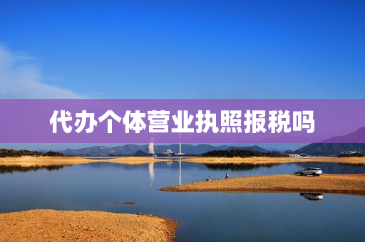 代办个体营业执照报税吗(个体户营业执照申报)