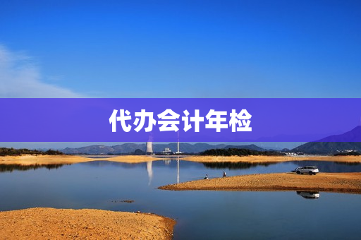 代办会计年检(代办会计)