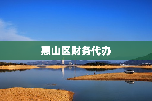 惠山区财务代办(财务代办公司具体业务)