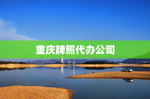 重庆牌照代办公司(重庆摩托车代办上牌)