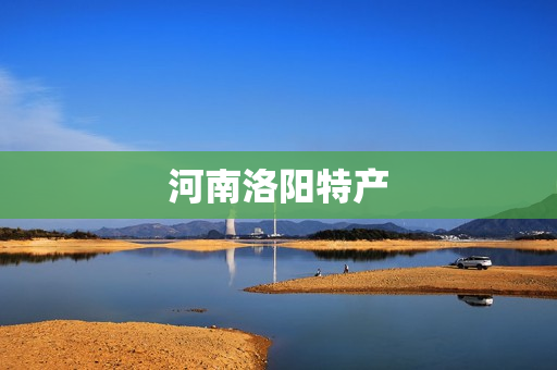 河南洛阳特产(洛阳特产有哪些)
