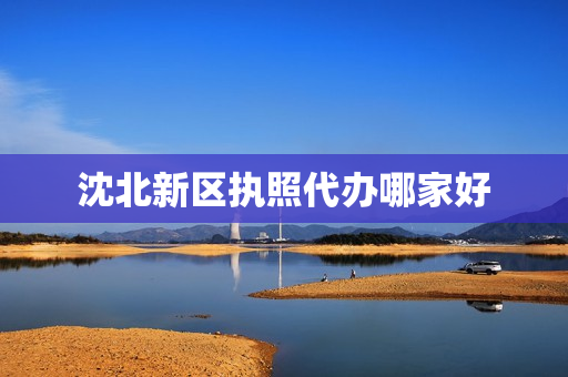沈北新区执照代办哪家好(沈北新区办营业执照在哪里)