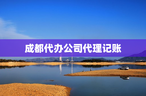 成都代办公司代理记账(代理记账)