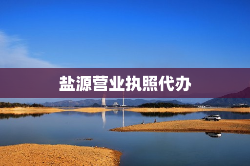 盐源营业执照代办(营业执照可以代办吗)