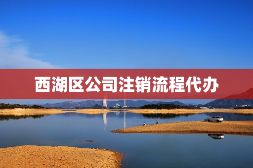 西湖区公司注销流程代办(注销公司怎么注销流程)
