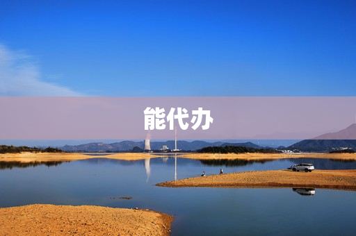 能代办(代办服务)