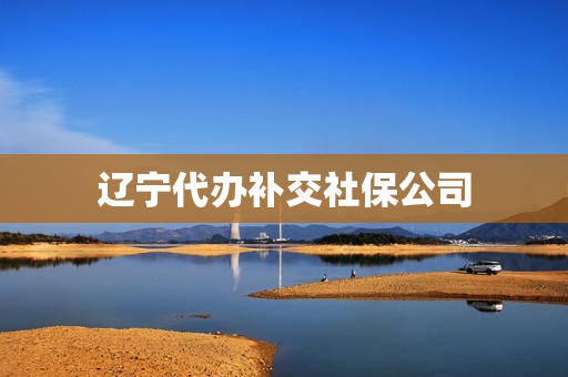 辽宁代办补交社保公司(沈阳代缴社保的公司)