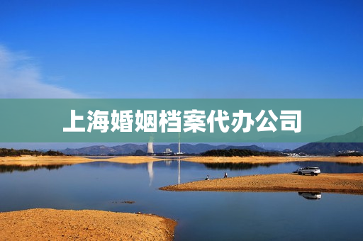 上海婚姻档案代办公司(上海婚姻登记档案查询)