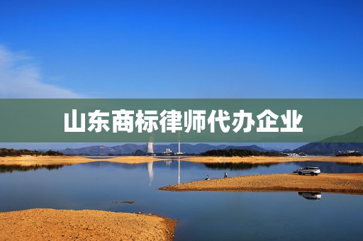 山东商标律师代办企业(商标代办单位)