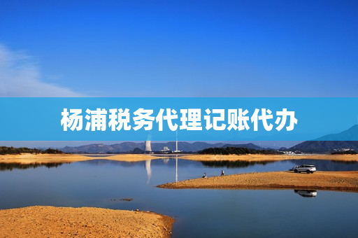 杨浦税务代理记账代办(兰州财税代理记账公司)