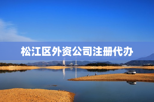 松江区外资公司注册代办(杭州公司代办)