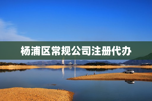 杨浦区常规公司注册代办(杨浦区有哪些知名公司)