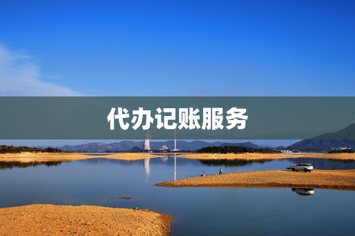 代办记账服务(代理记账)
