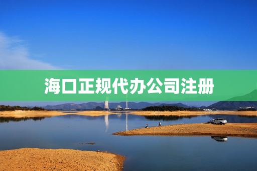 海口正规代办公司注册(海南代办营业执照的正规公司)