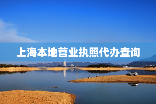 上海本地营业执照代办查询(上海办营业执照)
