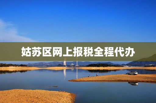 姑苏区网上报税全程代办(苏州市姑苏区税务局官网)