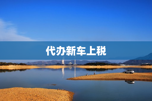 代办新车上税(新车上税多少钱)