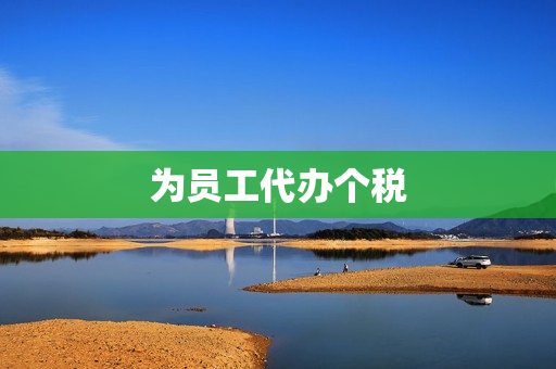 为员工代办个税(代办个人所得税)