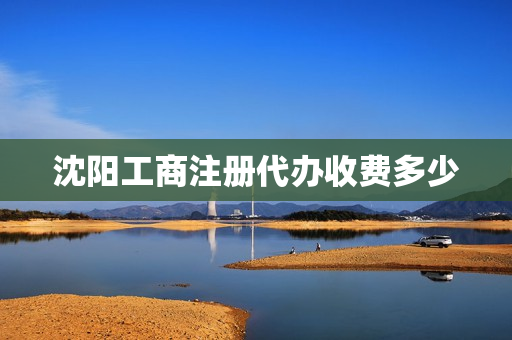 沈阳工商注册代办收费多少(沈阳注册公司代办机构)
