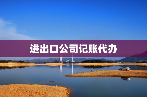 进出口公司记账代办(代办进出口业务的公司)