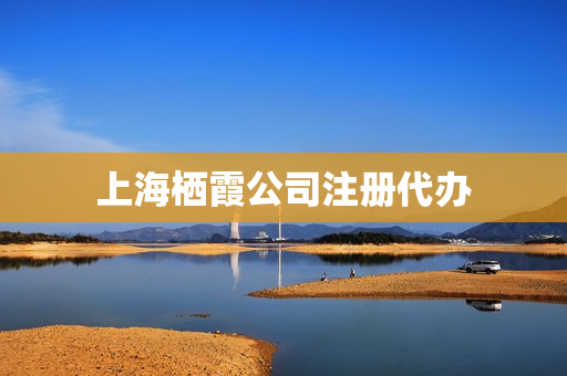 上海栖霞公司注册代办(南京公司注册代办哪家好)