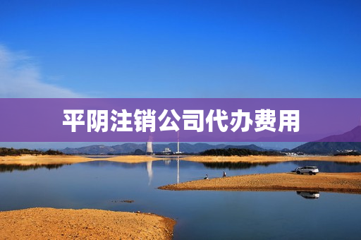 平阴注销公司代办费用(登报注销公司费用)